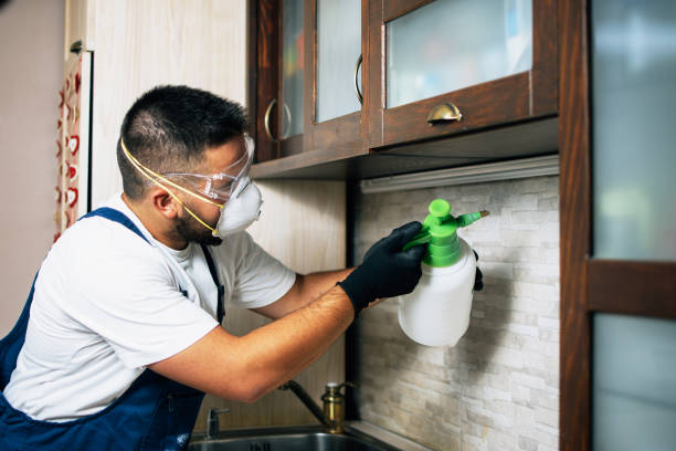 Best Termite Control Services  in Man, WV