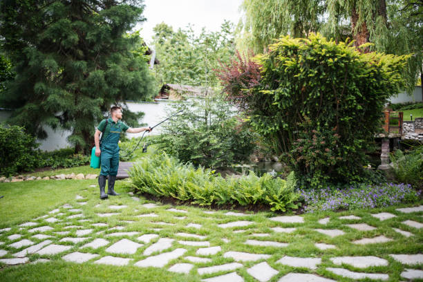 Best Best Pest Control Companies  in Man, WV
