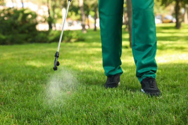 Pest Control for Restaurants in Man, WV
