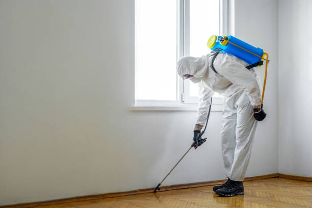 Best Cockroach Control Services  in Man, WV
