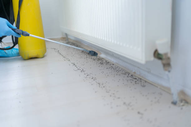 Best Residential Pest Control  in Man, WV