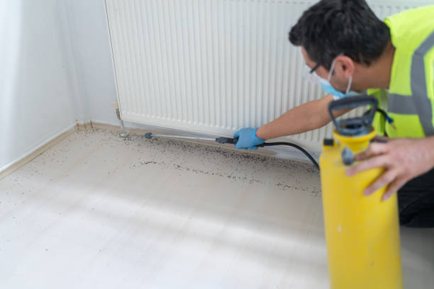 Best Pest Prevention Services  in Man, WV